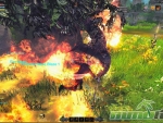 RaiderZ-AoE-Blaze