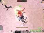 RaiderZ-Attack-side