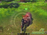 RaiderZ-Brown-Bear-Atk