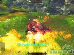 RaiderZ-Flames
