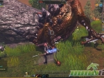 RaiderZ-Group-players