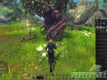 RaiderZ-Tree-Inventory