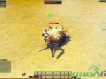 Raiderz-Beach