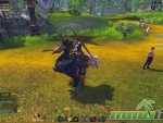 Raiderz-Riding