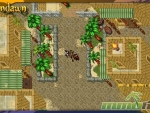 ravendawn-online-city