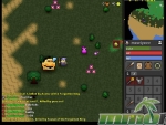 Realm-of-the-Mad-God-Overview