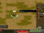 Red-Stone-Online-Agility