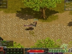 Red-Stone-Online-Big-Land-Spider