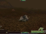 Requiem-Rhino