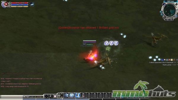 RF-Online-699-dmg