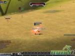 RF-Online-Archer