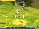 RF-Online-Target