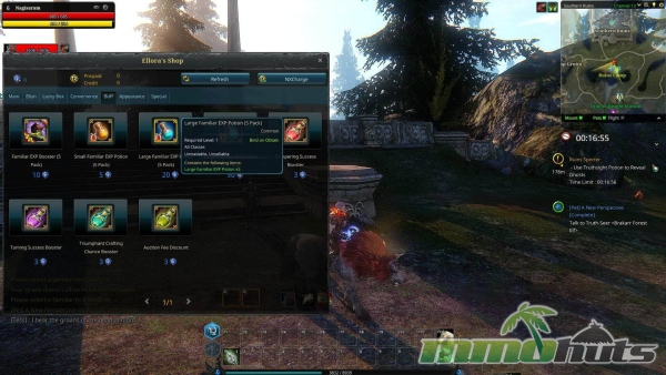 riders-of-icarus-cash-shop