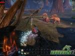 riders-of-icarus-forest-fire
