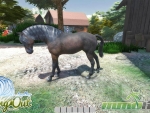 riding-out-horse-up-close