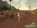 risk-your-life-bug-attack