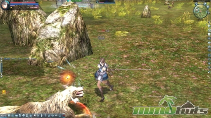 rohan-blood-feud-attack-skill