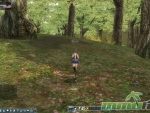 rohan-blood-feud-forest-environment