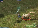 rohan-blood-feud-gameplay-screenshot