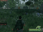 Romeros-Aftermath-farm