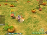 Rose-Online-24-Pumpkin