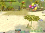 Rose-Online-Balloon