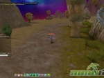 Rose-Online-Desert