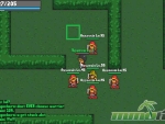 rucoy-online-asssassins