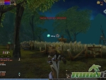 Runes-of-Magic-Auto-movement