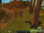 RuneScape-adventuring