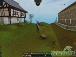 RuneScape-level-up