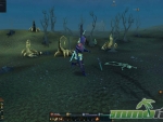 RuneScape-scoprion