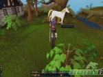 RuneScape-unicorn
