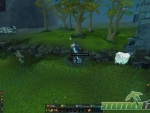 RuneScape-wilderness-wall