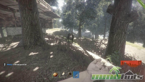 Rust-bear