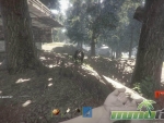 Rust-bear