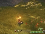 Rust-fire