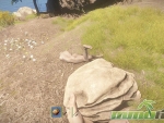Rust-naked-body