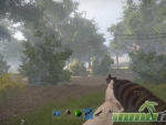 Rust-shotgun