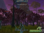Ryzom-rangers-land