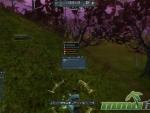 Ryzom-raw-material-source