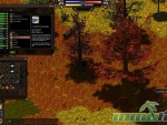 Salem-foliage