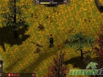 Salem-free-to-play