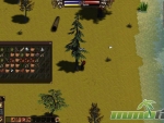 Salem-pine-tree
