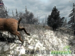 Savage-Lands-deer