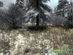 Savage-Lands-deers
