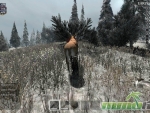 Savage-Lands-idle-deer