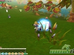 Seal-Online-Ability