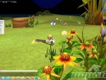Seal-Online-Flowers
