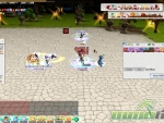 Seal-Online-Gambler-Fight